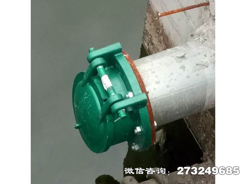 紫阳县污水管道玻璃钢拍门