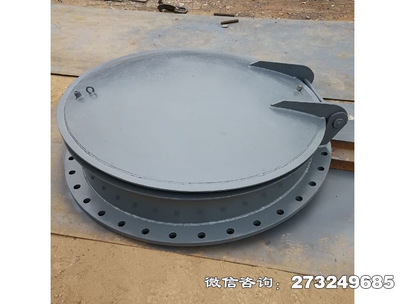 桐乡泵站防逆流不锈钢拍门
