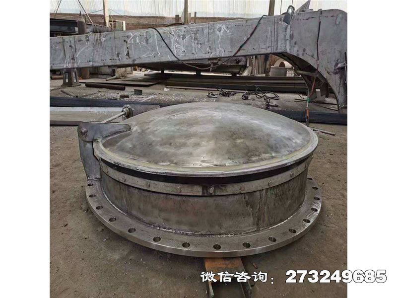 桐乡排涝泵站不锈钢拍门