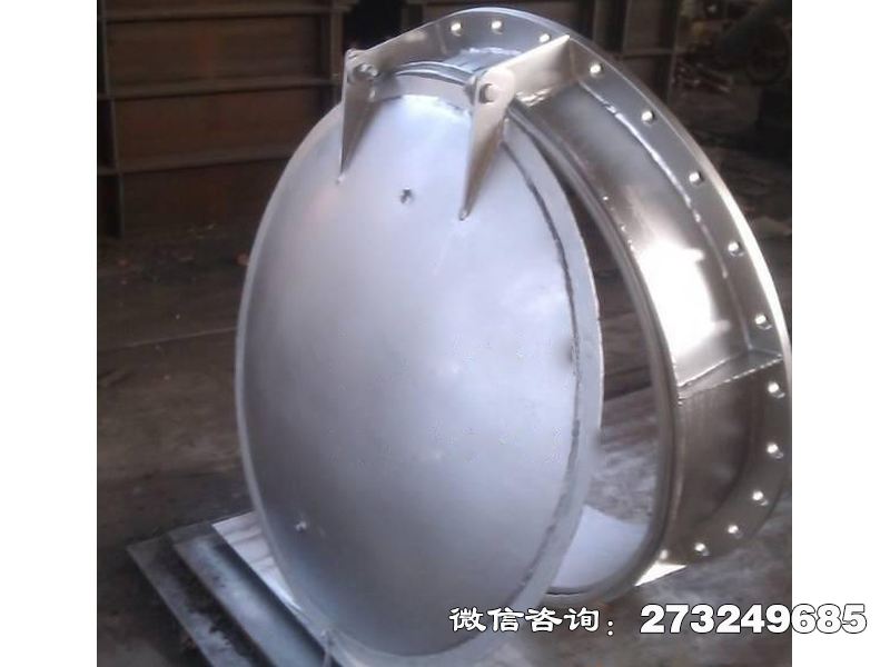 于都县316L不锈钢拍门
