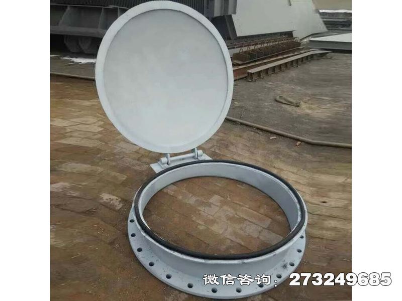 于都县金属不锈钢拍门