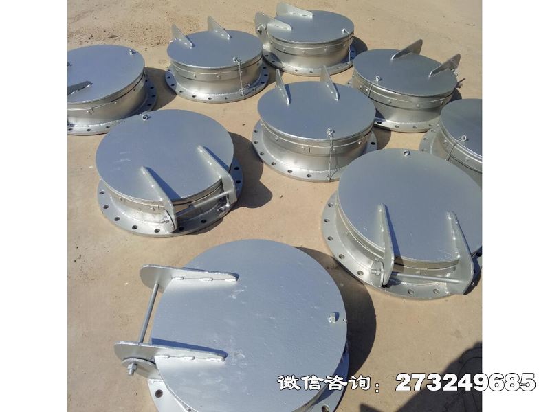 于都县防倒灌不锈钢拍门