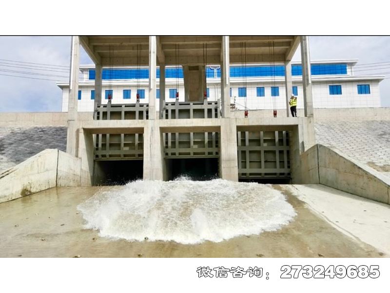 东至县应急排涝泵站闸门