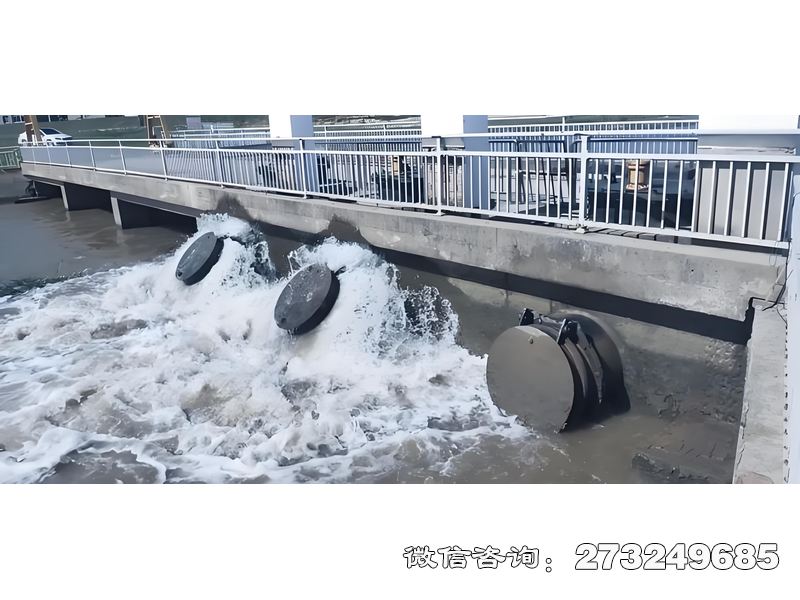 内河潮门拍门