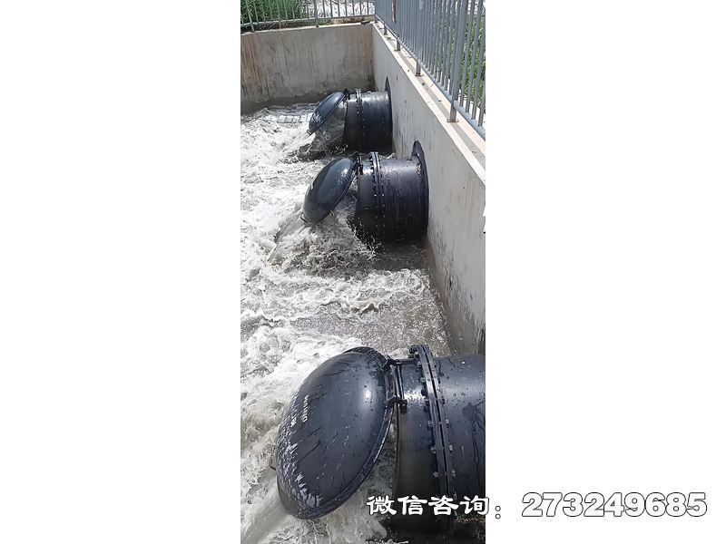 万秀污水处理厂潮门拍门