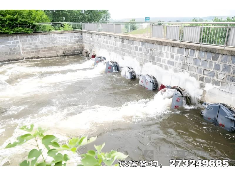 池州河道防洪堤排水潮门拍门