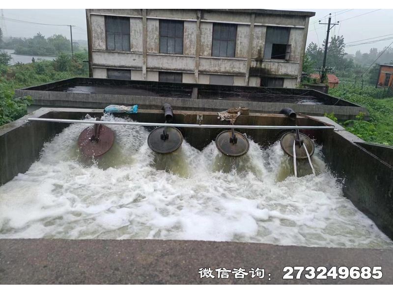 池州行洪区退水口潮门拍门