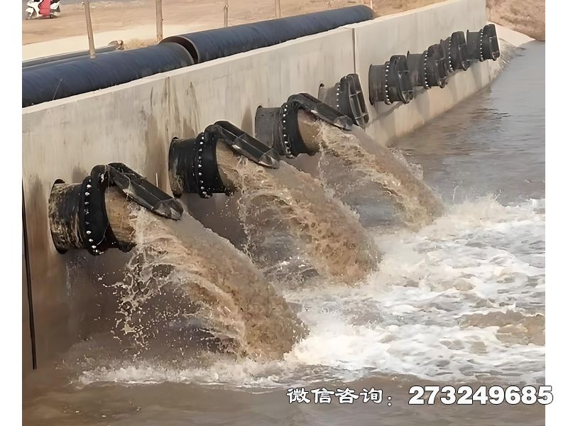池州蓄滞洪区分洪闸潮门拍门
