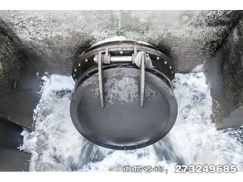 池州河道排水潮门拍门