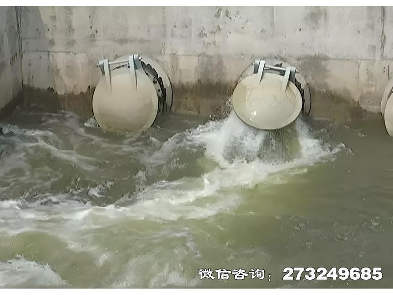 池州河道生态护岸排水潮门拍门