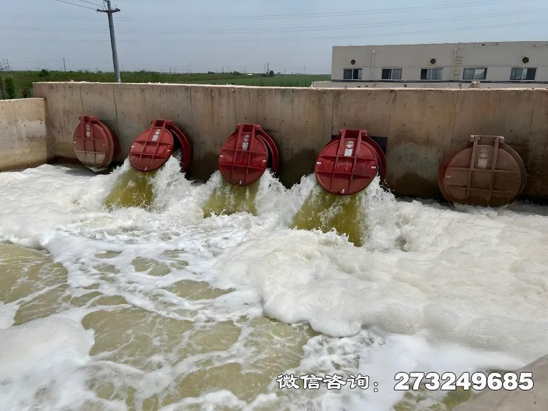 池州河口整治工程潮门拍门
