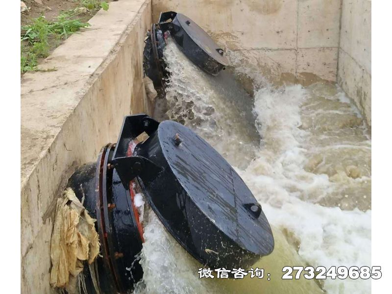 内乡县海水防倒灌拍门