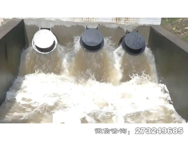 内乡县河口防潮拍门