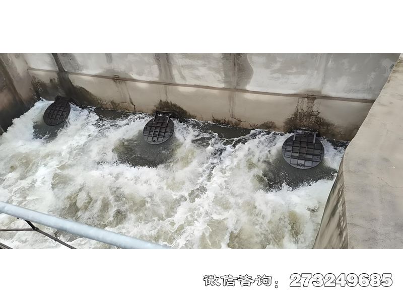 内乡县海水养殖排水拍门