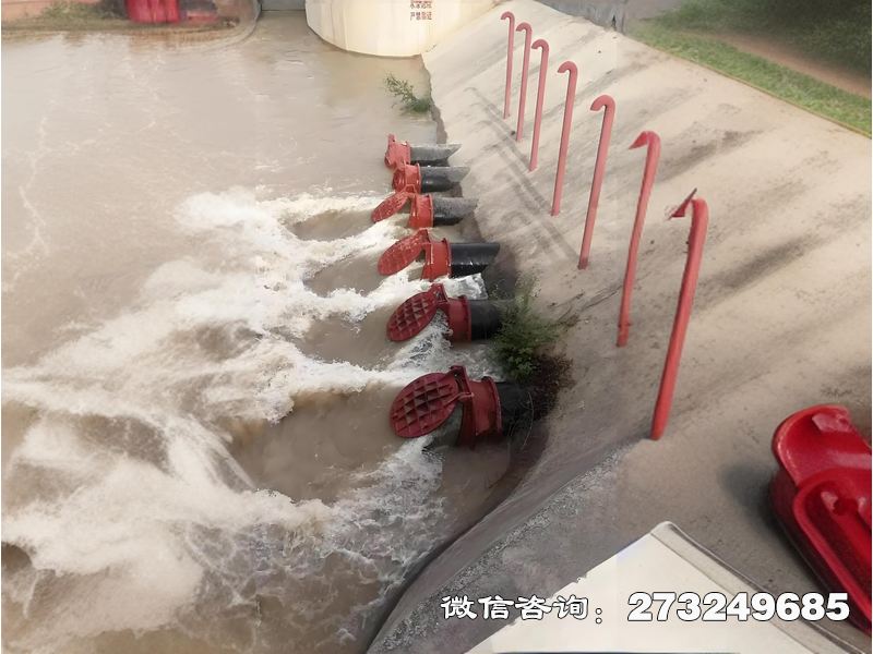 内乡县海水生态防潮拍门