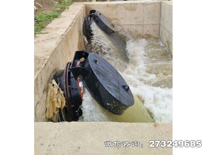 水库潮门拍门