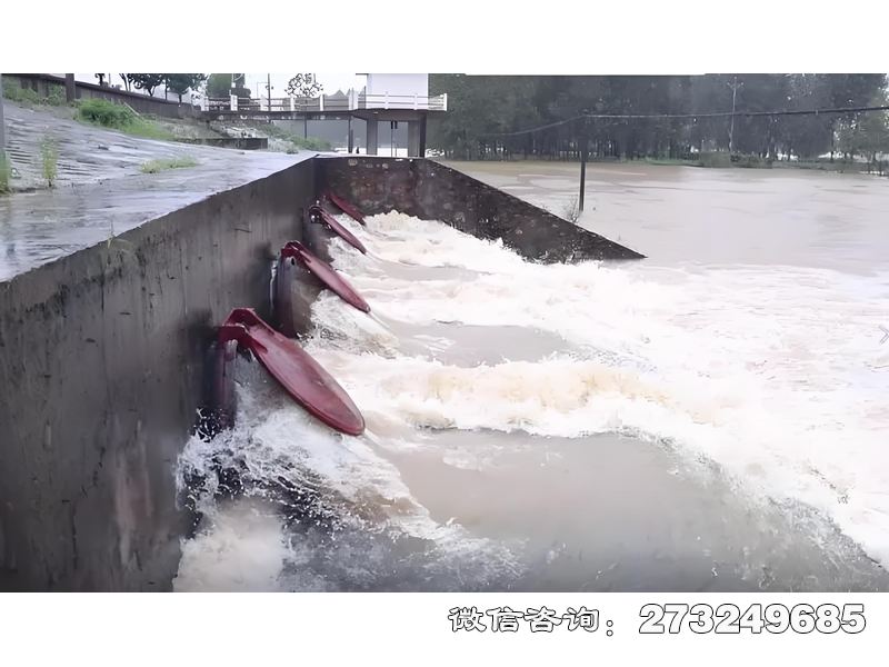 城市排水系统潮门拍门