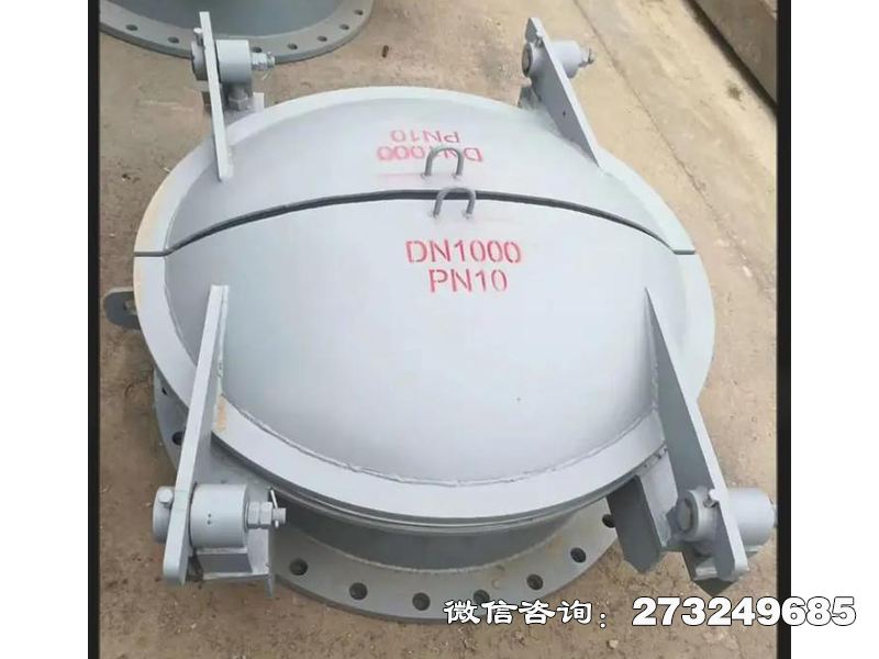 项城排水钢制河道拍门