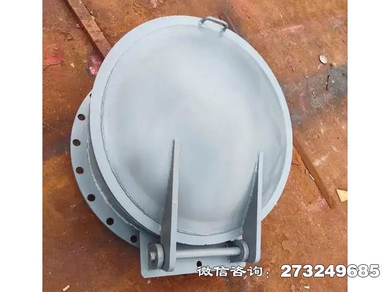 太康县铸铁圆型防逆流拍门