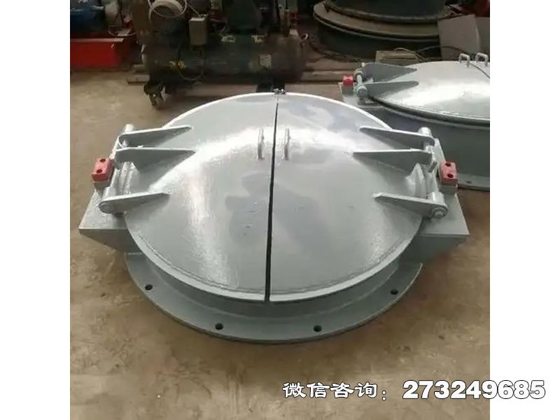 紫阳县铸铁圆型导流拍门