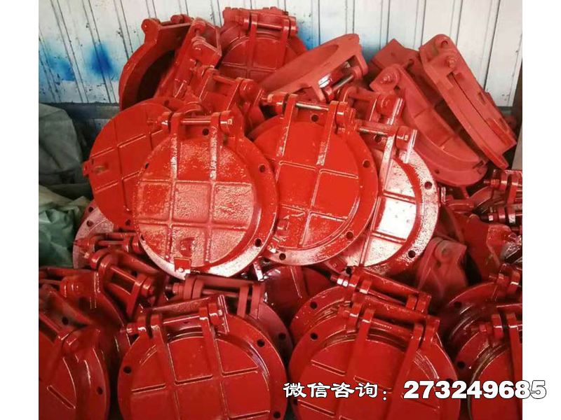 东光铸铁圆形工业废水拍门