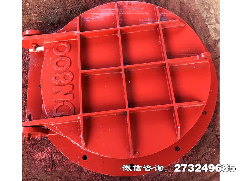 东光铸铁圆形明渠拍门